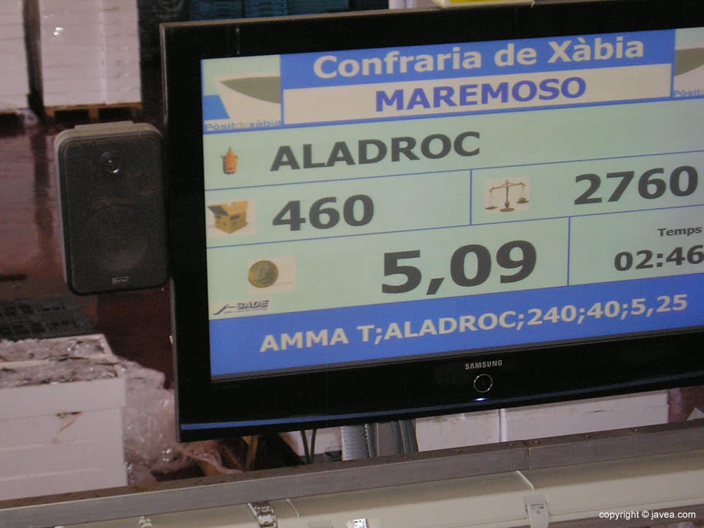 Pantalla de subasta del boquerón en la lonja de Xàbia