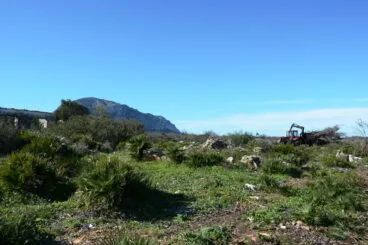 Trabajos de recuperación en el Montgó