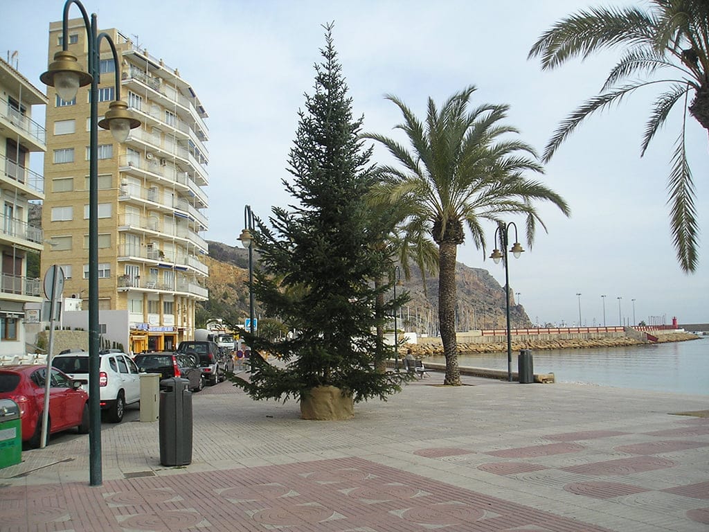 Árbol de navidad instalado en Duanes