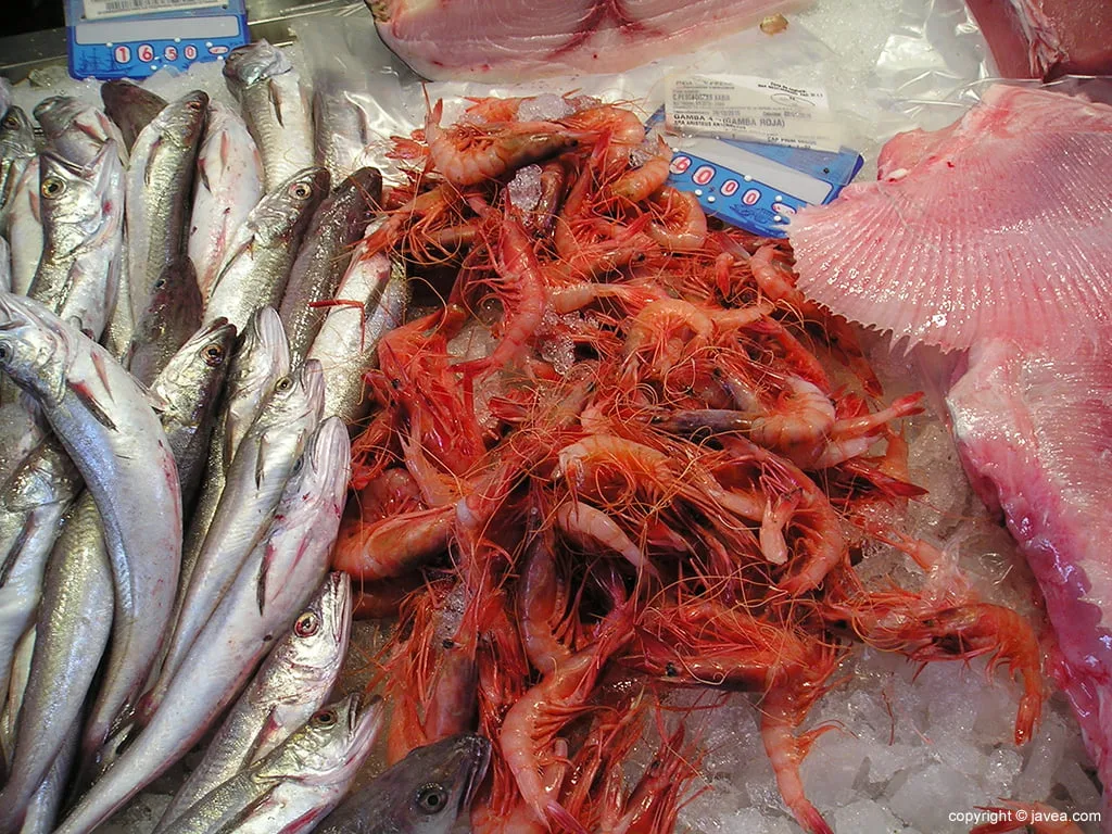 Gamba de 4ª categoría en la Lonja de Xàbia