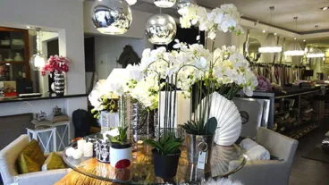 Orquídeas Estudio Decor