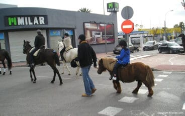 Caballos desfilando en el día de San Antón