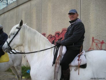 Jinete sobre su caballo