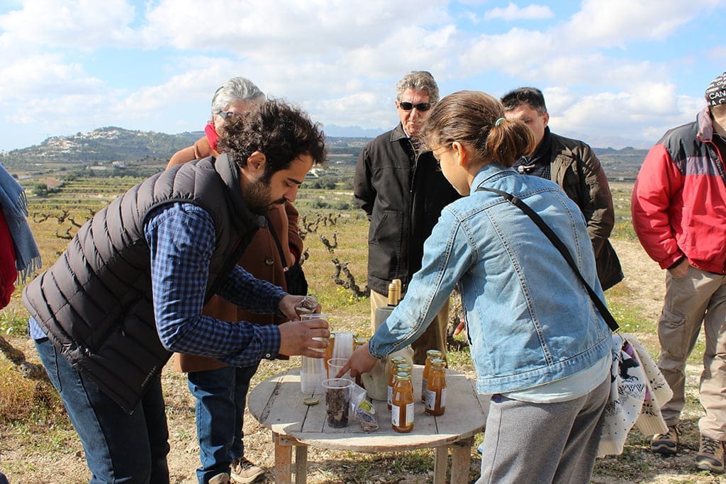 Degustación de vino y mistela