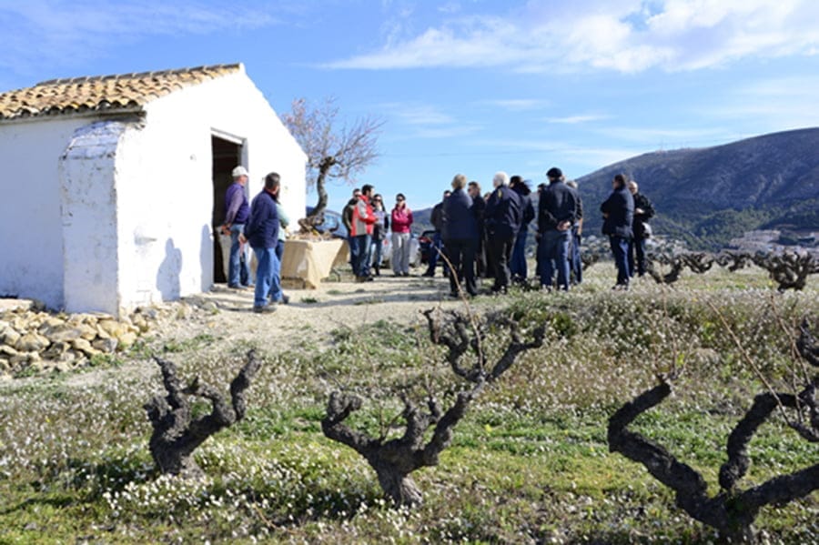 Visita para conocer el BioMoscatell del Poble Nou de Benitatxell