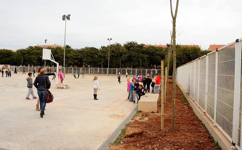 Árboles en el patio del colegio Arenal