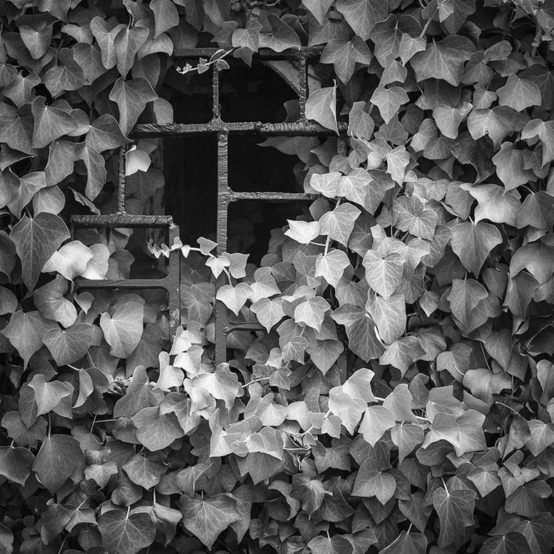 Foto de la Esposición Miradas Diferentes II