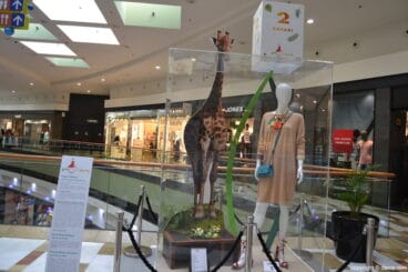 Spring Fashion Shopping Portal de la Marina – Escaparate