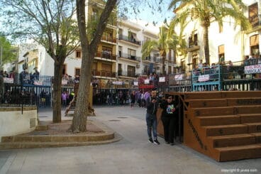 Bous al carrer en las fiestas del Nazareno