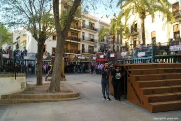 Bous al carrer en las fiestas del Nazareno