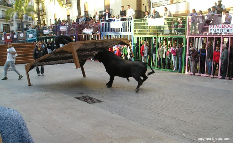 Toro levantando el tablao de madera