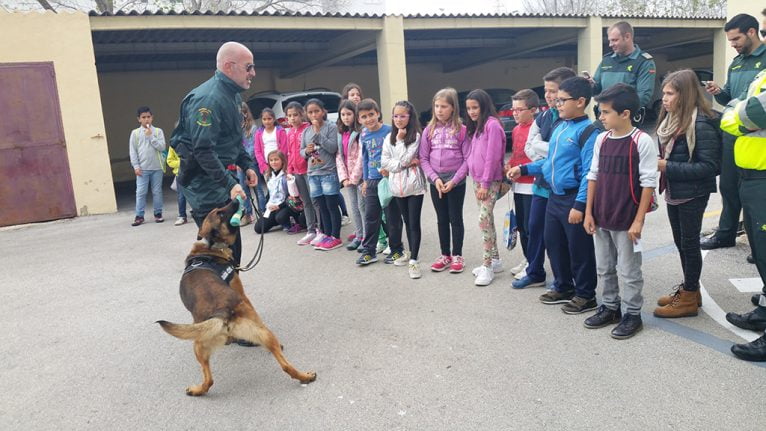 Demostración canina de la Guardia Civil