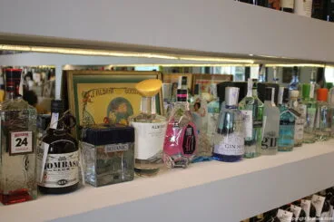 Gins Vins i mes