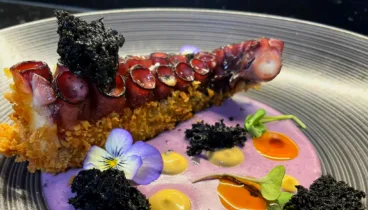 Alta cocina con emplatados sorprendentes