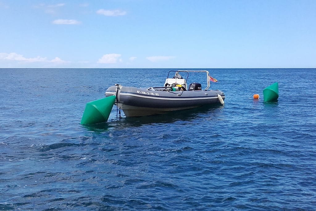 Boya de fondeo en Xàbia