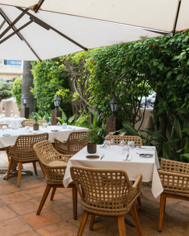 Cálida terraza ajardinada