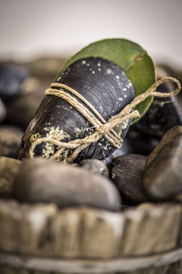 Deliciosos platos El Rodat