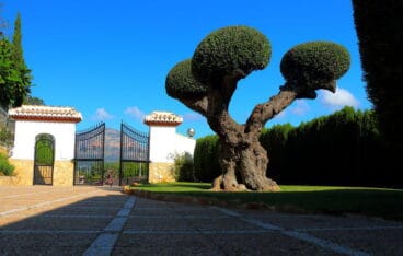 Jardin de la casa Casa Nova Villas