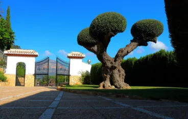 Jardin de la casa Casa Nova Villas