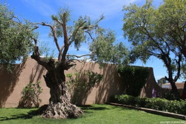 Jardin Restaurante Masena