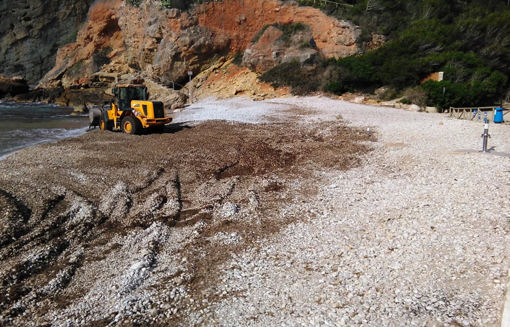 Trabajos de nivelación  de piedras en la playa de la Granadella