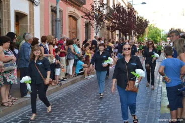 Los Taurons de Xàbia en la ofrenda