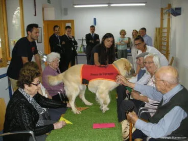 Nala protagonista durante la terapia