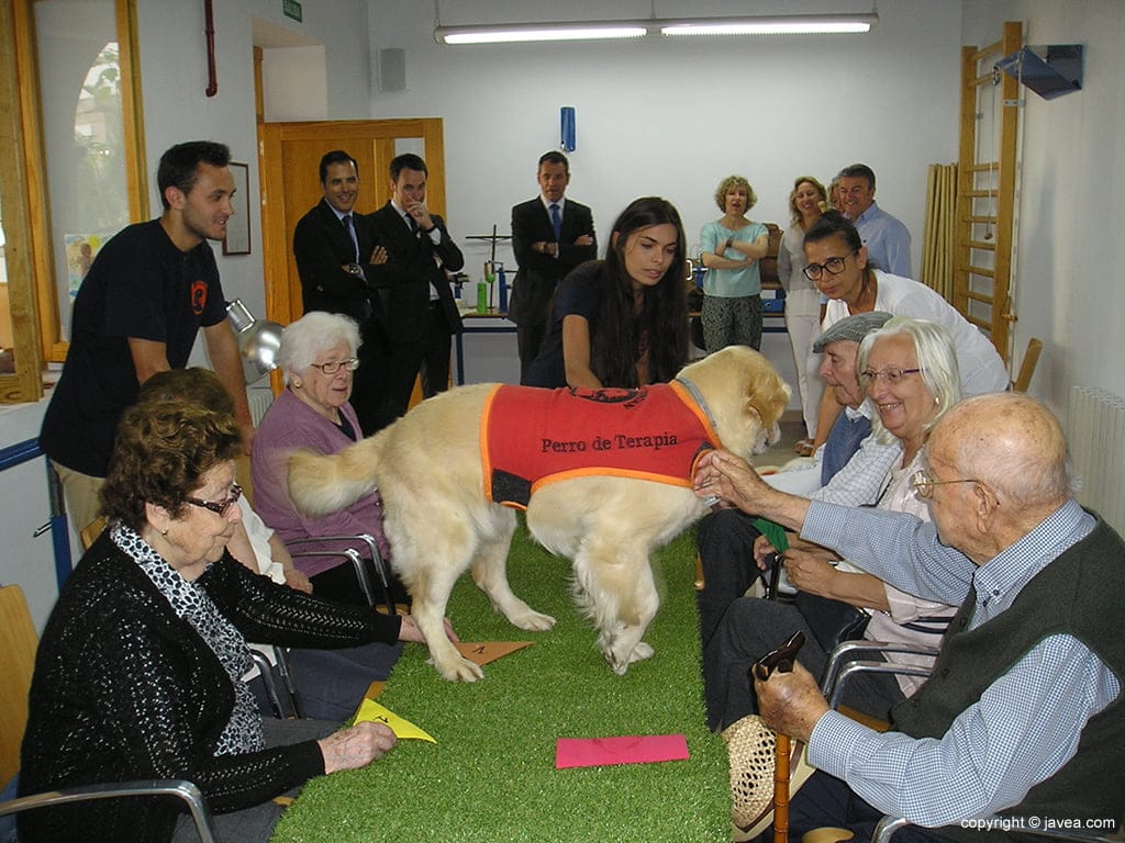 Nala protagonista durante la terapia