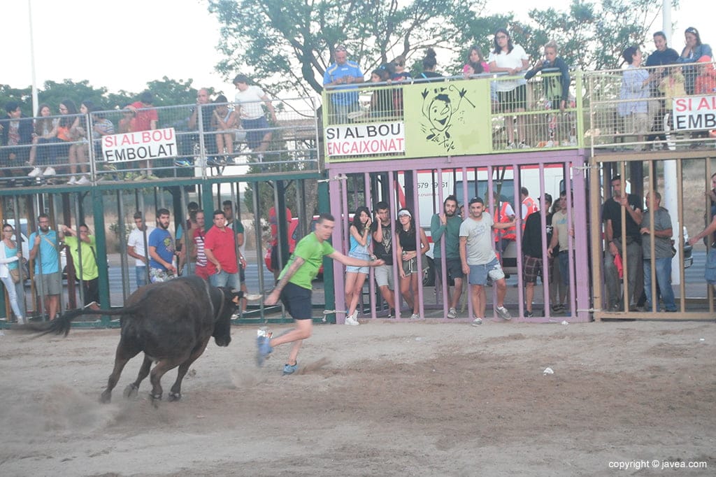 Toros en Fogueres de Xàbia