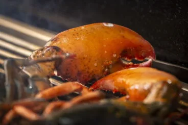 Marisco a la brasa – Restaurante Noray