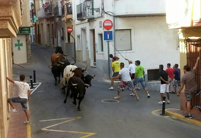 Entrada de bous a Benitatxell