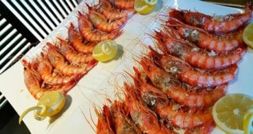 Gamba Roja Restaurante Noray