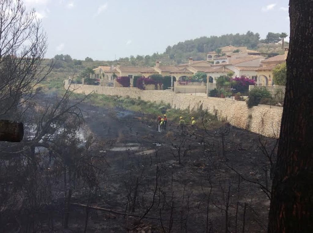 Pinada calcinada en la urbanización Els Molins de El Poble Nou de Benitatxell