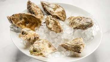 Propuesta gastronómica basada en producto fresco y equilibrio