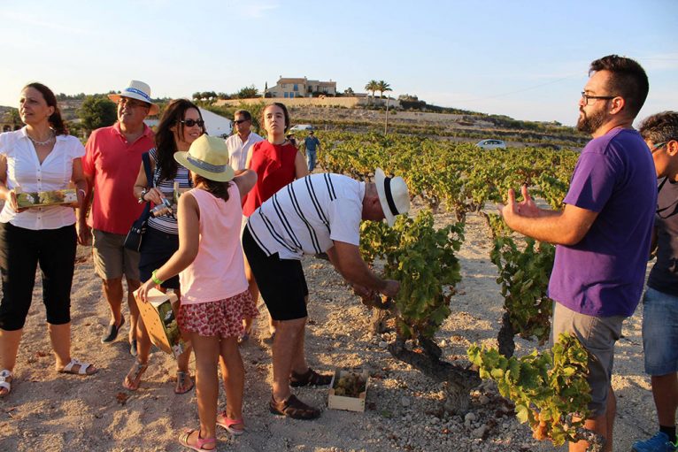 Participantes en la ruta "Atardecer entre viñedos"