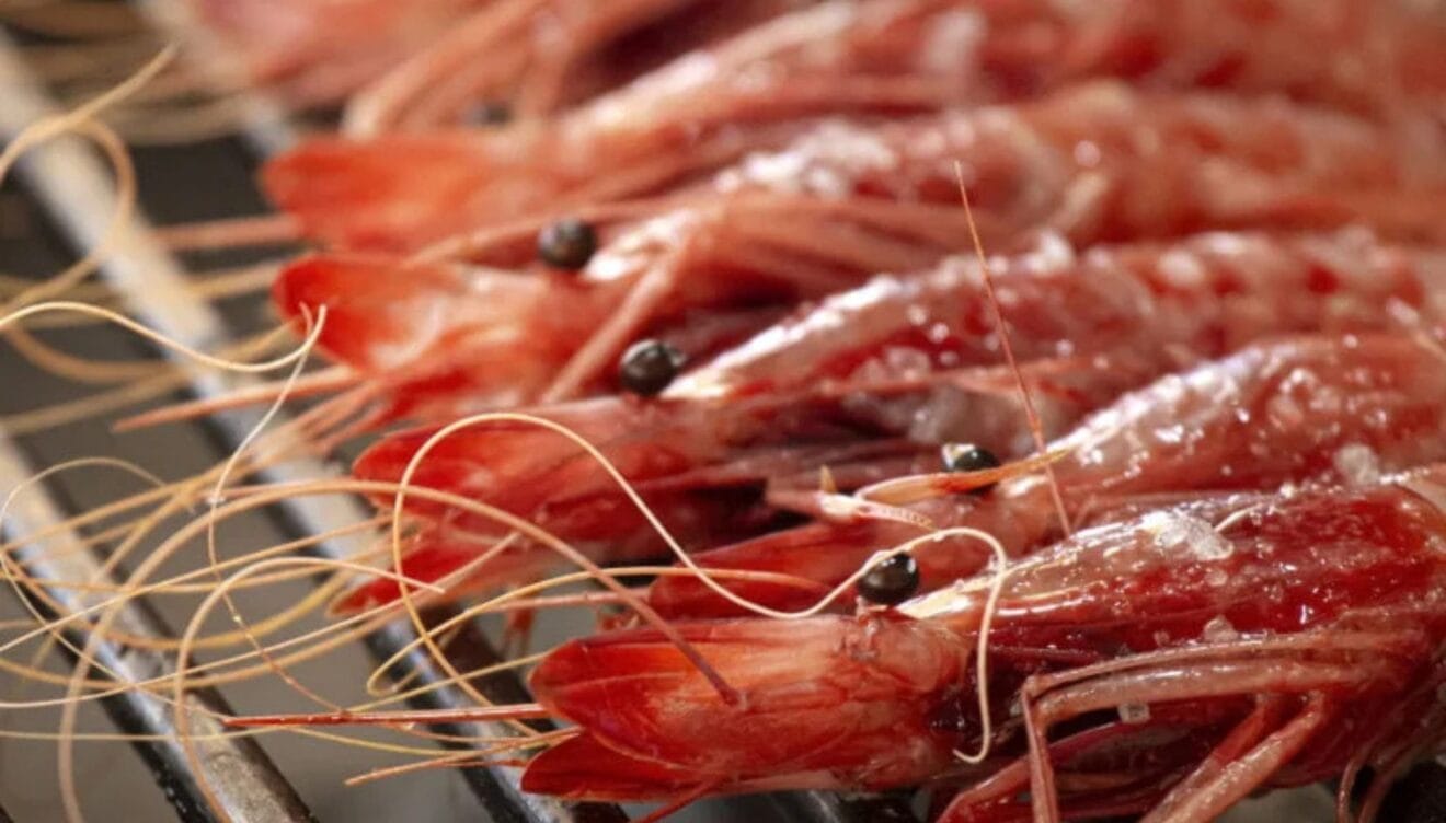 Sabores del Mediterráneo con presentación cuidada en Jávea