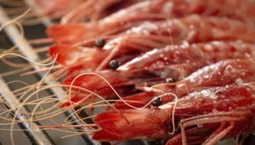 Sabores del Mediterráneo con presentación cuidada en Jávea