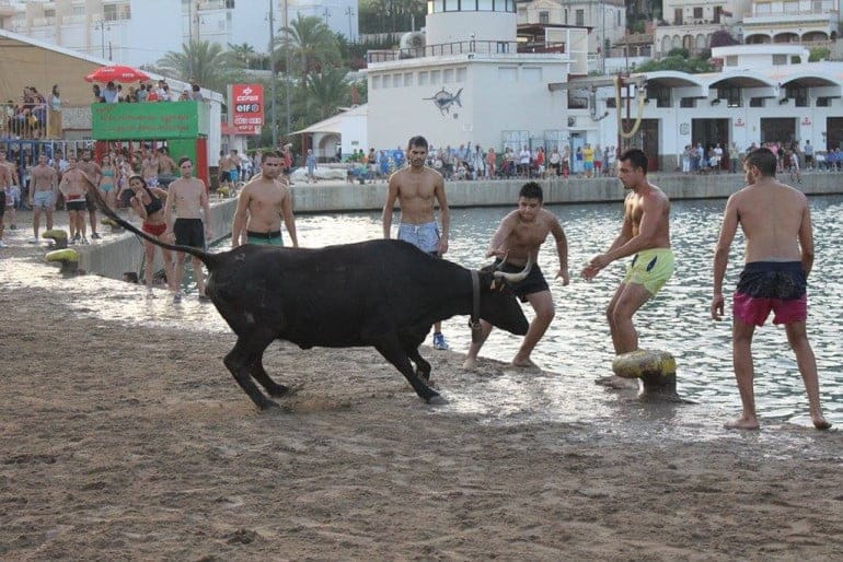 Bous a la Mar Xàbia
