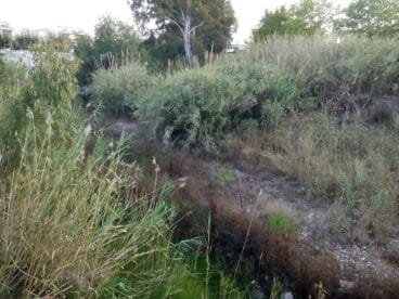 Cauce del río Gorgos