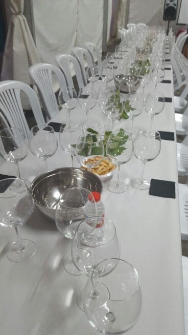Todo preparado para la Cata de vinos