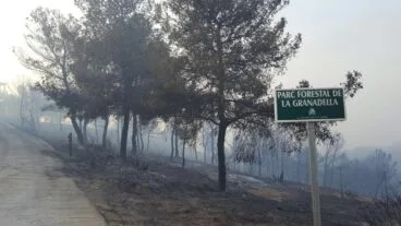 incendio Granadella
