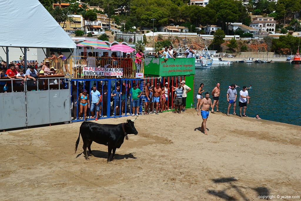 La vaca