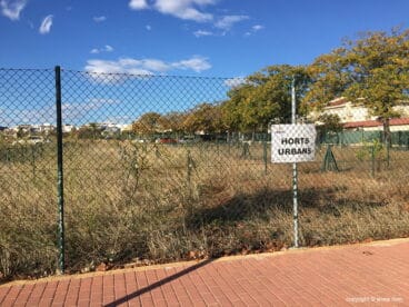 Huertos urbanos en el  pueblo