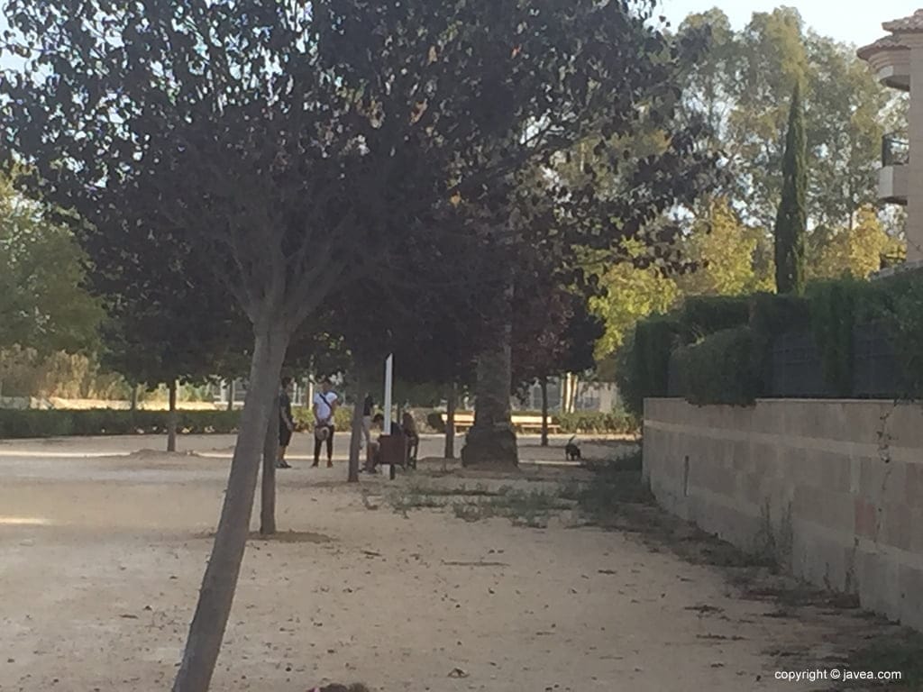 Perro suelto en parque infantil