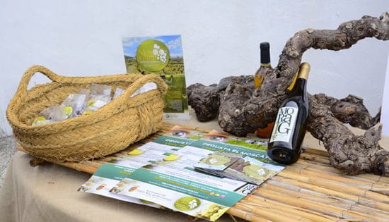 Productos Biomoscatell