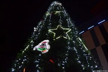 Iluminación Navideña en Portal de la Marina – Árbol de navidad