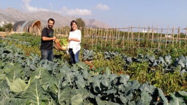 Agricultura ecológica