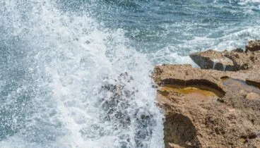 Disfruta de una experiencia sensorial que va más allá del plato