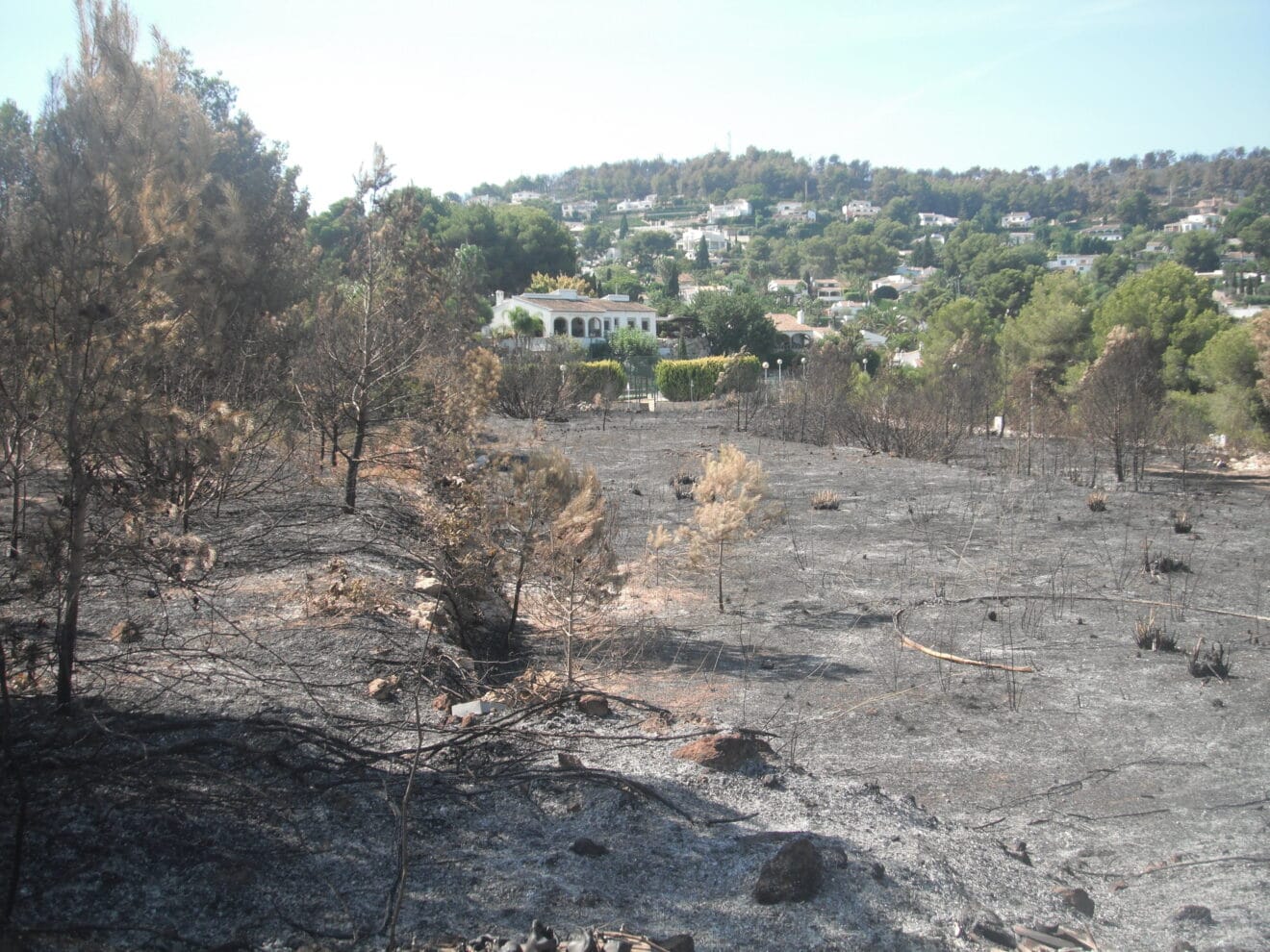 INCENDI GRANADELLA (6)