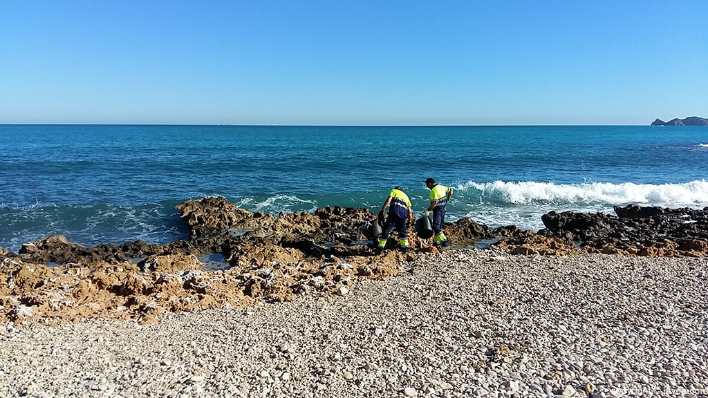 Operarios limpian el litoral de toallitas